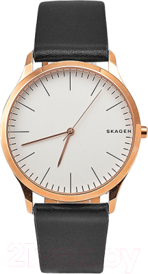 Часы наручные мужские Skagen SKW1102 - фото