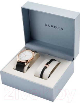 Часы наручные мужские Skagen SKW1102