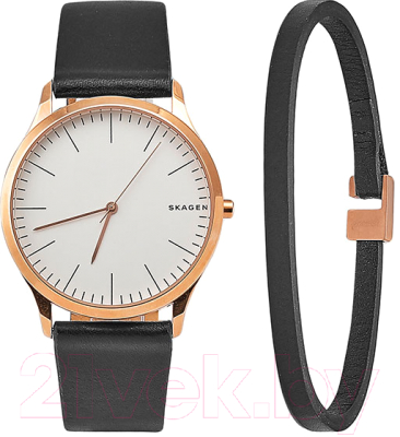 Часы наручные мужские Skagen SKW1102
