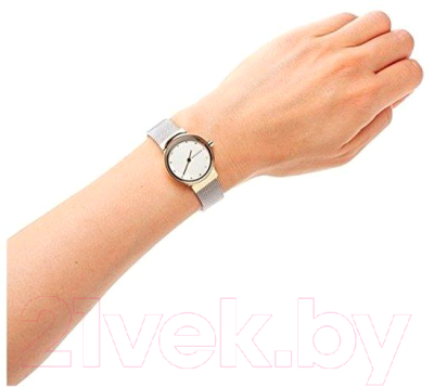 Часы наручные женские Skagen SKW2666