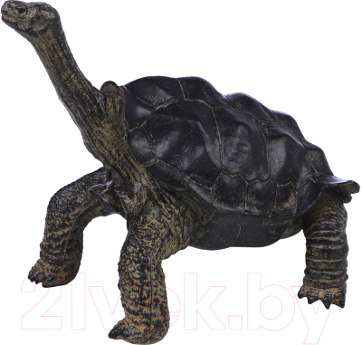 Фигурка коллекционная Masai Mara Мир диких животных. Звезчатая черепаха / MM218-372 - фото