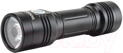 Фонарь Яркий Луч Tandem L-4100 - фото