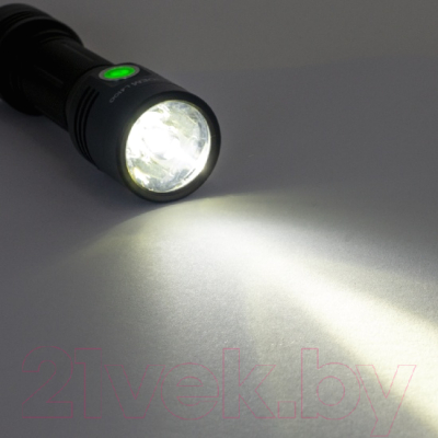 Фонарь Яркий Луч Tandem L-4100