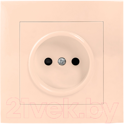 Розетка EKF PROxima Валенсия / EWR10-022-20 - фото