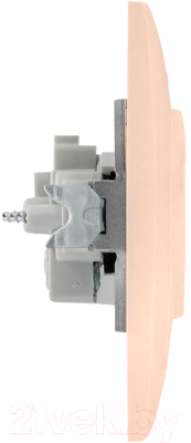 Розетка EKF PROxima Валенсия / EWR10-022-20