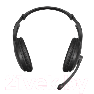 Наушники-гарнитура ExeGate Office HS-102S / EX289748RUS