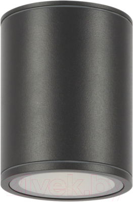 Светильник уличный Maytoni Bar O306CL-L12GF - фото