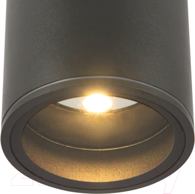 Светильник уличный Maytoni Bar O306CL-L7GF