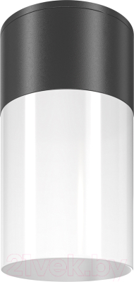 Светильник уличный Maytoni Willis O418CL-01B - фото