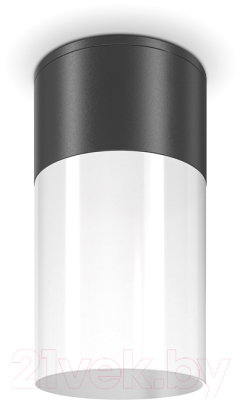 Светильник уличный Maytoni Willis O418CL-01B