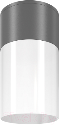 Светильник уличный Maytoni Willis O418CL-01GR
