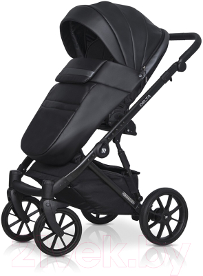 Детская универсальная коляска Riko Basic Delta Ecco 3 в 1 (15/черный)