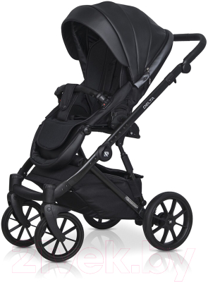 Детская универсальная коляска Riko Basic Delta Ecco 3 в 1 (15/черный)