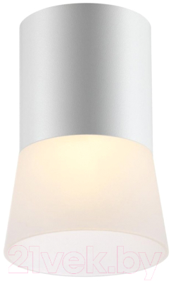 Точечный светильник Novotech Elina 370901