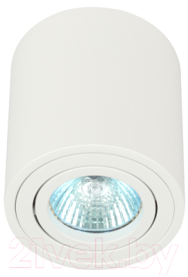 Потолочный светильник ЭРА OL21 WH / Б0054392 - фото