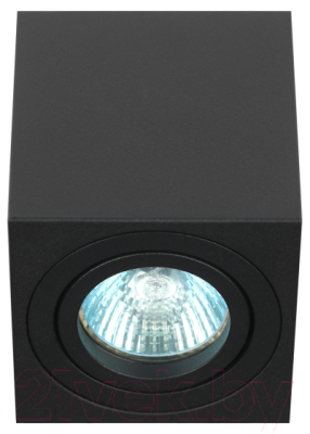 Потолочный светильник ЭРА OL22 BK / Б0054395 - фото