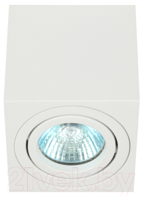 Потолочный светильник ЭРА OL22 WH / Б0054394 - фото