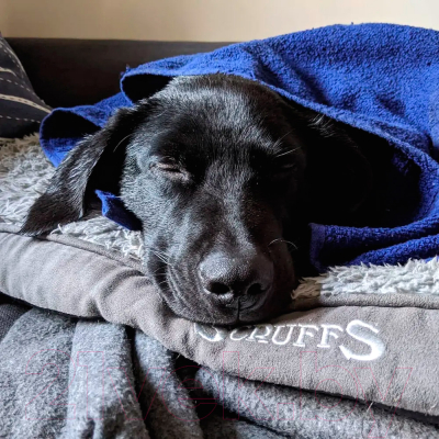 Лежанка для животных Scruffs Cosy / 939304 (серый)