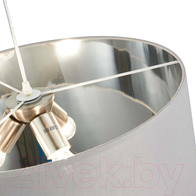 Потолочный светильник Evoluce Brescia SLE300513-03