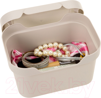 Контейнер для хранения Бытпласт Deluxe / 4332334