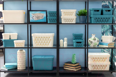 Контейнер для хранения Бытпласт Deluxe / 4332334