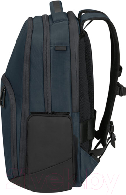 Рюкзак Samsonite Biz2Go KI1*01 003