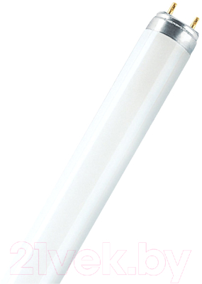 Лампа Osram L 18W/830 Lumilux G13 3000K - фото