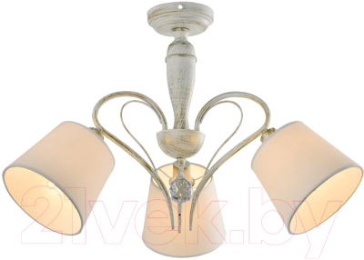 Люстра Lussole LGO LSP-8061 - фото