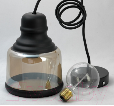 Потолочный светильник Lussole Loft LSP-9688