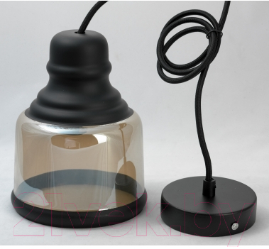 Потолочный светильник Lussole Loft LSP-9688