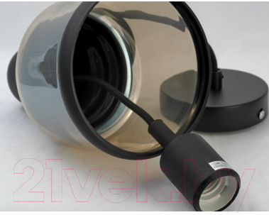 Потолочный светильник Lussole Loft LSP-9688