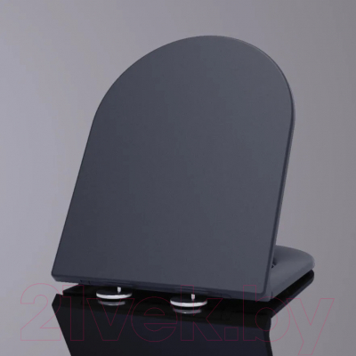 Сиденье для унитаза WeltWasser 2049 MT-BL