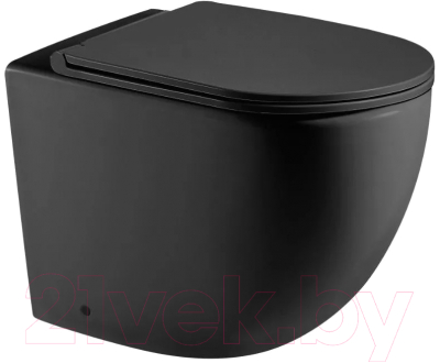 Сиденье для унитаза WeltWasser 2049 MT-BL