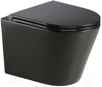 Сиденье для унитаза WeltWasser 2049 MT-BL