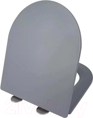 Сиденье для унитаза WeltWasser 2411 MT-GR - фото