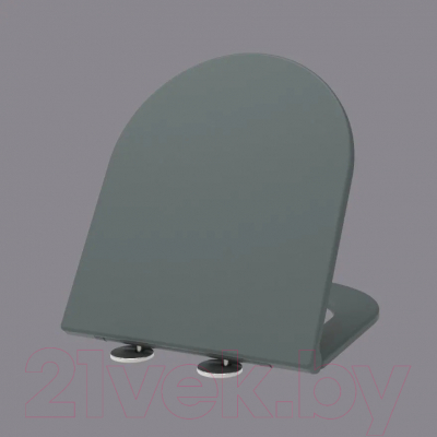 Сиденье для унитаза WeltWasser 2411 MT-GR