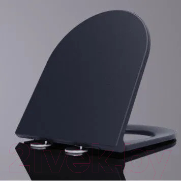 Сиденье для унитаза WeltWasser 5019 MT-BL