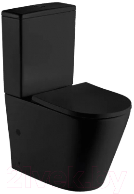 Сиденье для унитаза WeltWasser 5019 MT-BL