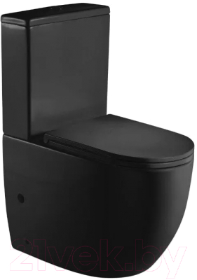 Сиденье для унитаза WeltWasser 5019 MT-BL