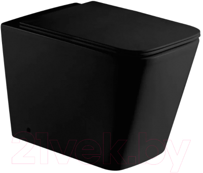 Сиденье для унитаза WeltWasser 5020 MT-BL