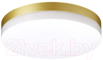 Светильник уличный Novotech Opal 358888 - фото