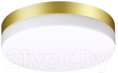 Светильник уличный Novotech Opal 358884 - фото