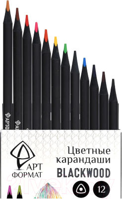 Набор цветных карандашей АртФормат AF03-051-12