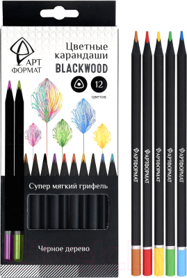 Набор цветных карандашей АртФормат AF03-051-12
