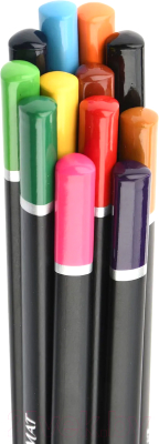 Набор цветных карандашей АртФормат AF03-051-12