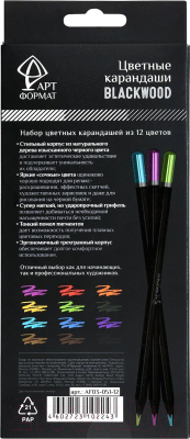 Набор цветных карандашей АртФормат AF03-051-12