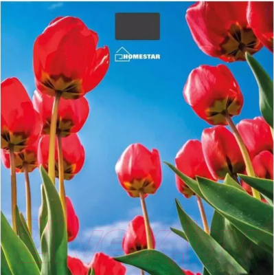 Напольные весы электронные HomeStar HS-6001I / 005187 - фото