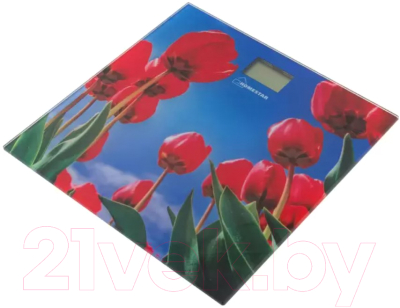 Напольные весы электронные HomeStar HS-6001I / 005187