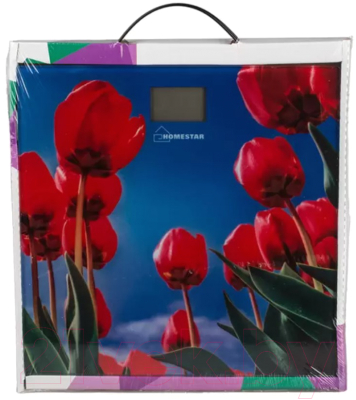 Напольные весы электронные HomeStar HS-6001I / 005187