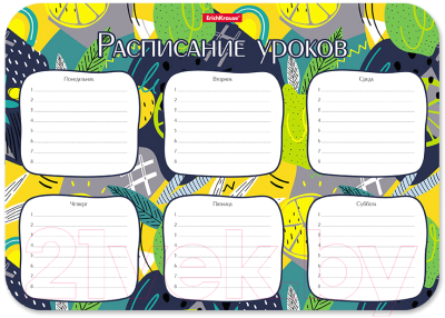 Расписание уроков Erich Krause Lime / 55997 - фото